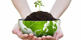 valori autonoleggio autogru 