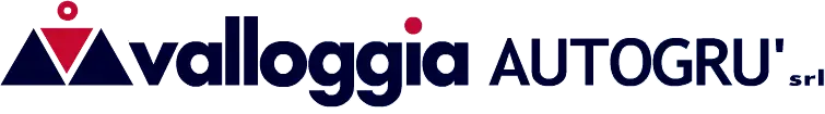 Autogru noleggio
